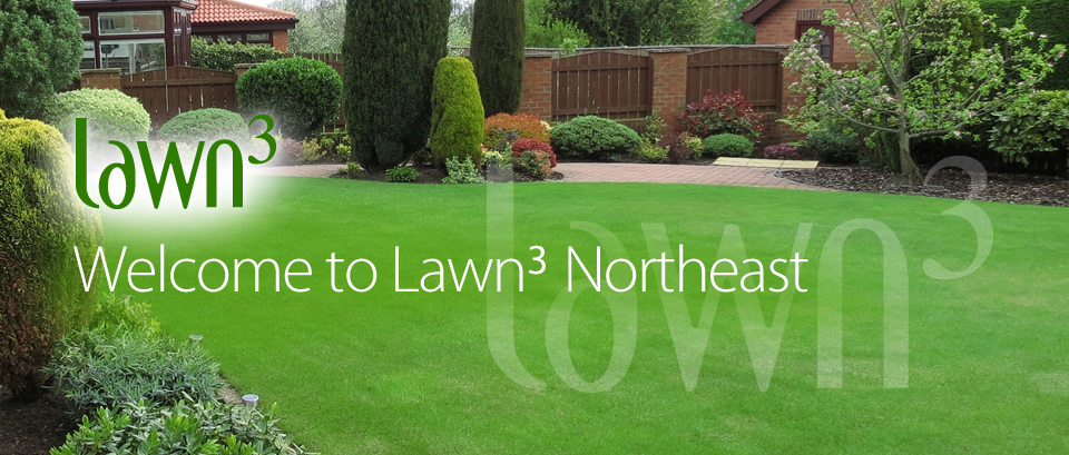 lawn care in the North East of England, by Lawn3 Northeast.